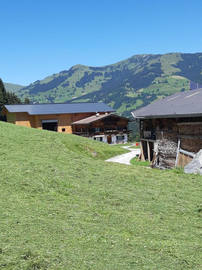 Ferienwohnung Schatzhof Jochberg Zewnętrze zdjęcie