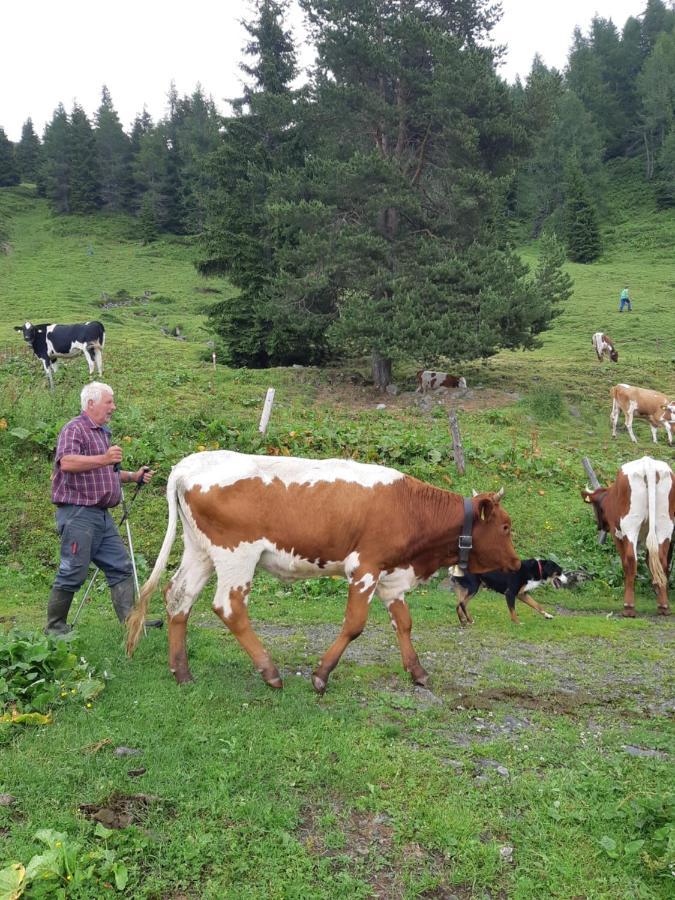 Ferienwohnung Schatzhof Jochberg Zewnętrze zdjęcie