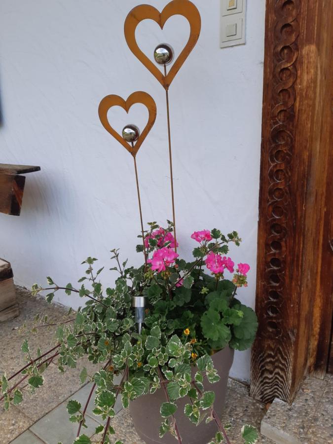 Ferienwohnung Schatzhof Jochberg Zewnętrze zdjęcie